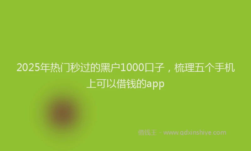 2025年热门秒过的黑户1000口子，梳理五个手机上可以借钱的app