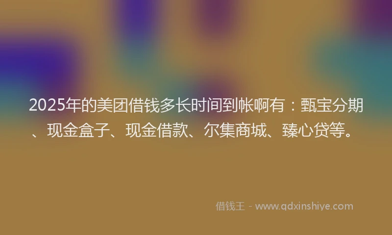 2025年的美团借钱多长时间到帐啊有:甄宝分期、现金盒子、现金借款、尔集商城、臻心贷等。