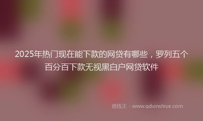 2025年热门现在能下款的网贷有哪些，罗列五个百分百下款无视黑白户网贷软件