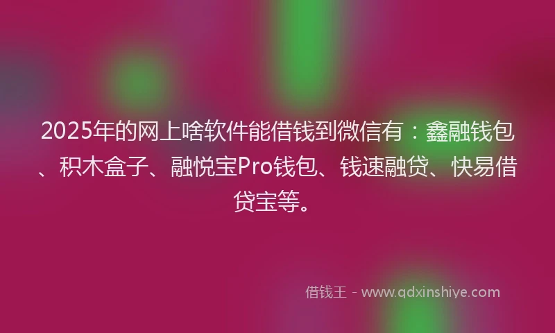 2025年的网上啥软件能借钱到微信有：鑫融钱包、积木盒子、融悦宝Pro钱包、钱速融贷、快易借贷宝等。