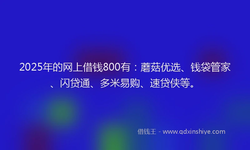 2025年的网上借钱800有：蘑菇优选、钱袋管家、闪贷通、多米易购、速贷侠等。