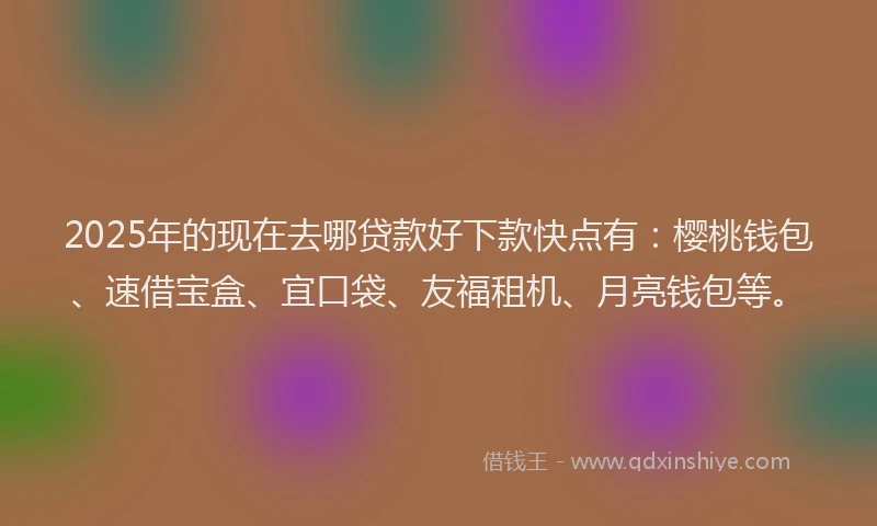 2025年的现在去哪贷款好下款快点有:樱桃钱包、速借宝盒、宜口袋、友福租机、月亮钱包等。