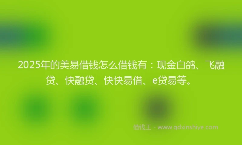 2025年的美易借钱怎么借钱有:现金白鸽、飞融贷、快融贷、快快易借、e贷易等。