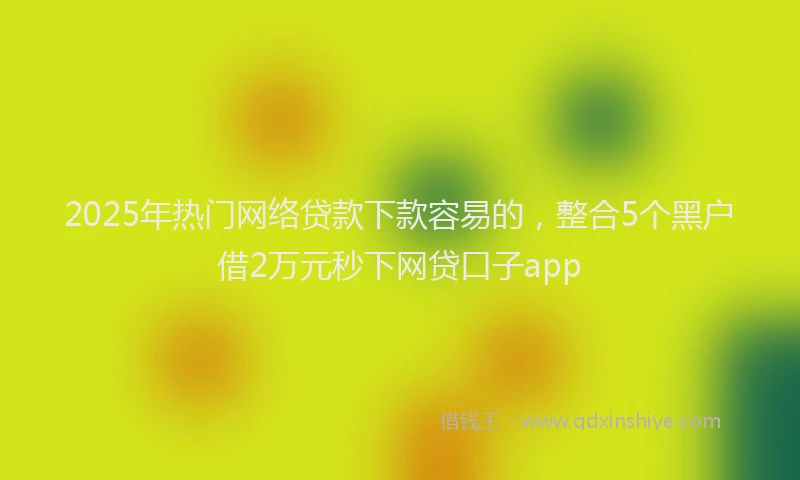 2025年热门网络贷款下款容易的，整合5个黑户借2万元秒下网贷口子app
