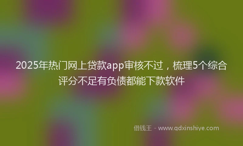 2025年热门网上贷款app审核不过，梳理5个综合评分不足有负债都能下款软件