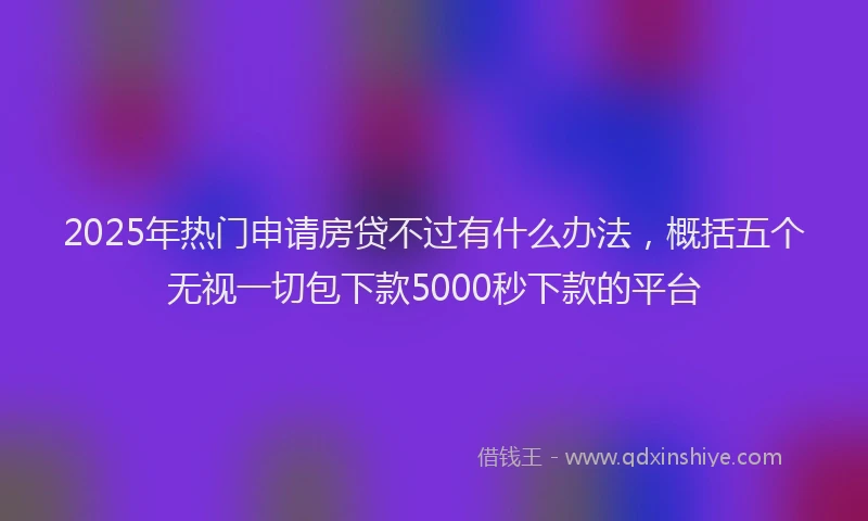 2025年热门申请房贷不过有什么办法，概括五个无视一切包下款5000秒下款的平台