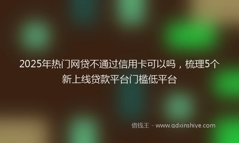 2025年热门网贷不通过信用卡可以吗,梳理5个新上线贷款平台门槛低平台