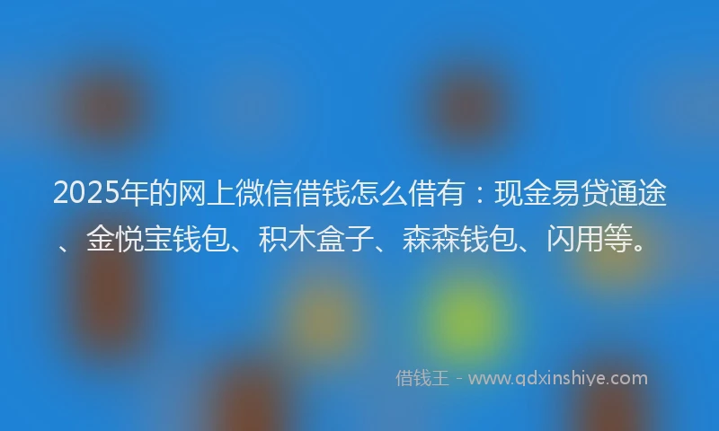 2025年的网上微信借钱怎么借有：现金易贷通途、金悦宝钱包、积木盒子、森森钱包、闪用等。