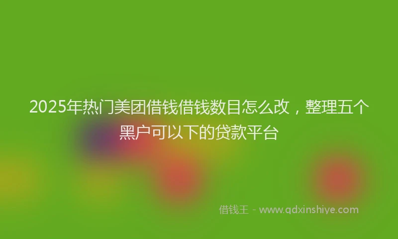 2025年热门美团借钱借钱数目怎么改,整理五个黑户可以下的贷款平台