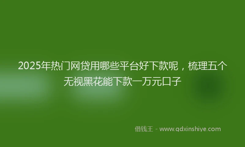 2025年热门网贷用哪些平台好下款呢,梳理五个无视黑花能下款一万元口子