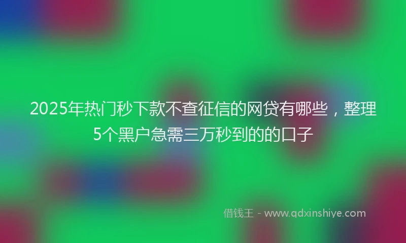 2025年热门秒下款不查征信的网贷有哪些，整理5个黑户急需三万秒到的的口子
