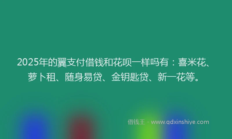 2025年的翼支付借钱和花呗一样吗有：喜米花、萝卜租、随身易贷、金钥匙贷、新一花等。