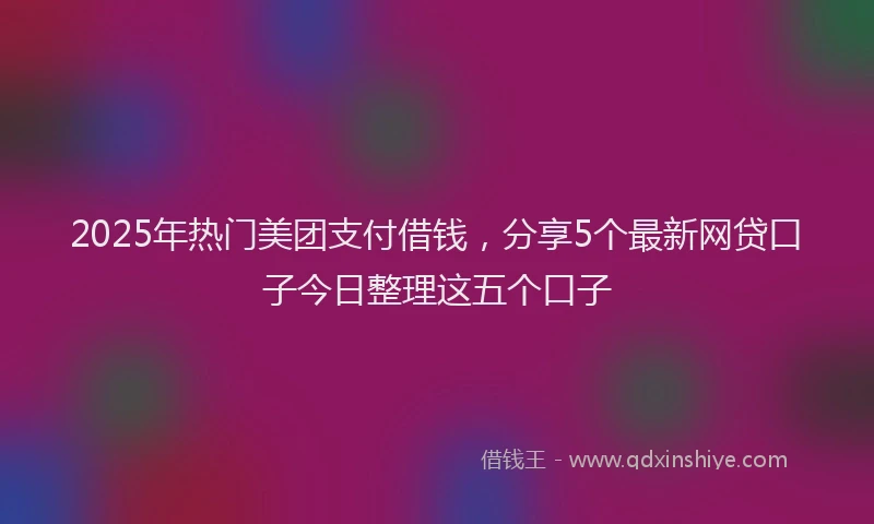 2025年热门美团支付借钱，分享5个最新网贷口子今日整理这五个口子