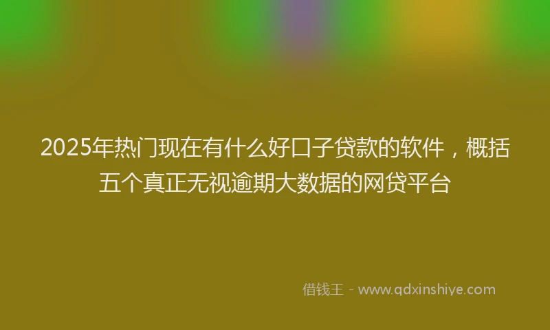2025年热门现在有什么好口子贷款的软件,概括五个真正无视逾期大数据的网贷平台