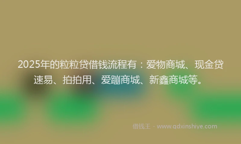2025年的粒粒贷借钱流程有：爱物商城、现金贷速易、拍拍用、爱蹦商城、新鑫商城等。