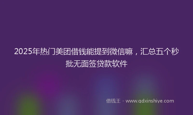 2025年热门美团借钱能提到微信嘛,汇总五个秒批无面签贷款软件