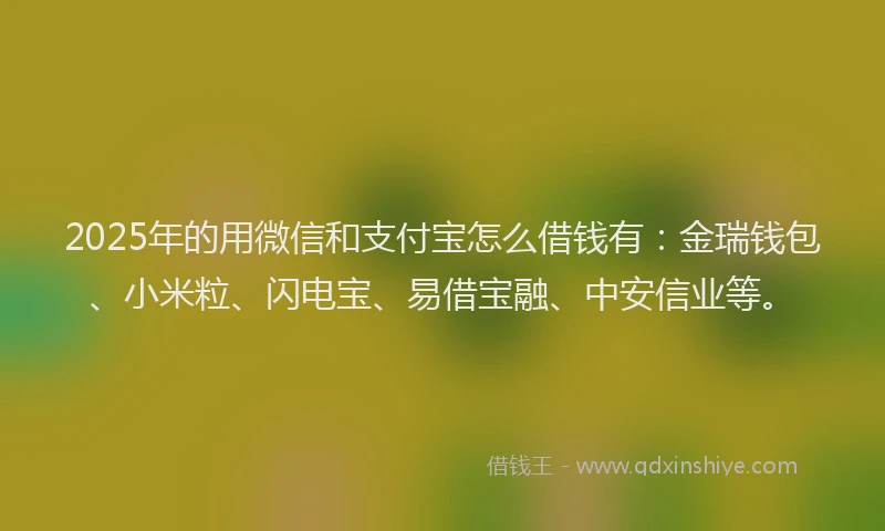 2025年的用微信和支付宝怎么借钱有：金瑞钱包、小米粒、闪电宝、易借宝融、中安信业等。