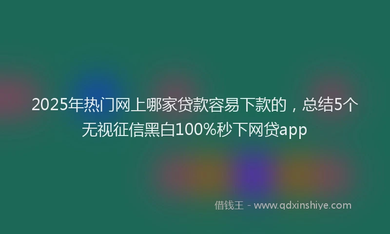 2025年热门网上哪家贷款容易下款的，总结5个无视征信黑白100%秒下网贷app
