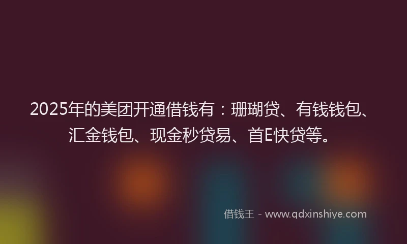 2025年的美团开通借钱有：珊瑚贷、有钱钱包、汇金钱包、现金秒贷易、首E快贷等。