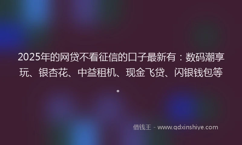 2025年的网贷不看征信的口子最新有：数码潮享玩、银杏花、中益租机、现金飞贷、闪银钱包等。