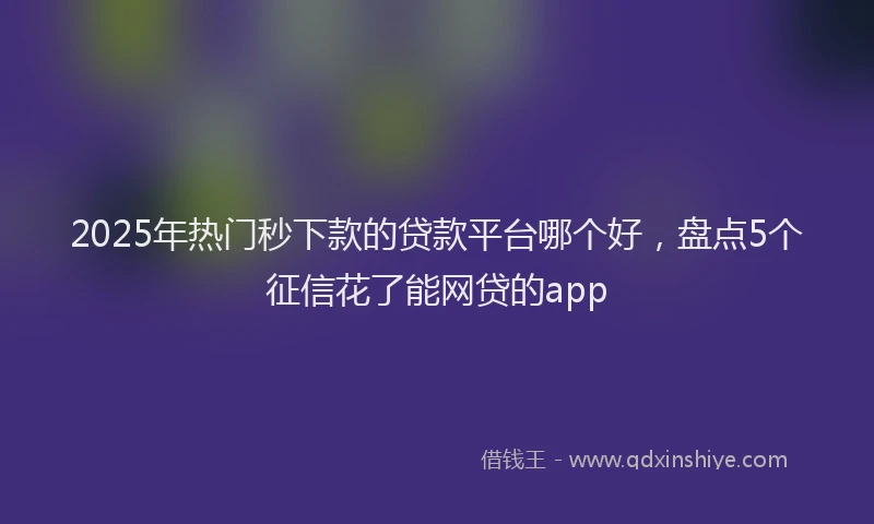 2025年热门秒下款的贷款平台哪个好，盘点5个征信花了能网贷的app
