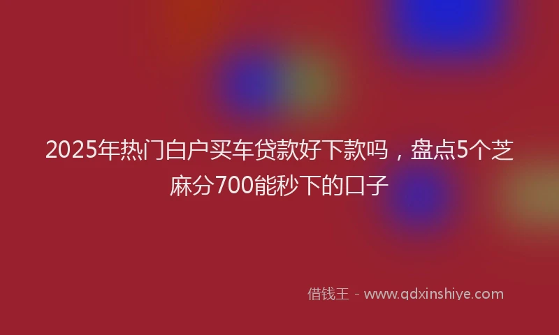 2025年热门白户买车贷款好下款吗,盘点5个芝麻分700能秒下的口子