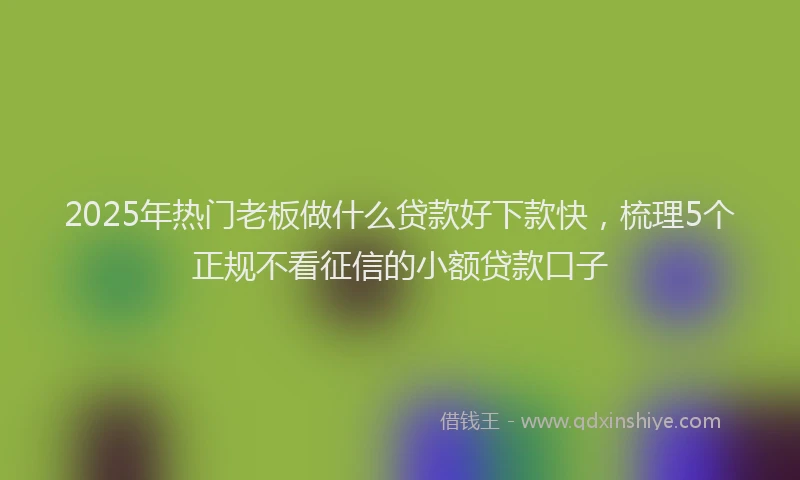 2025年热门老板做什么贷款好下款快，梳理5个正规不看征信的小额贷款口子