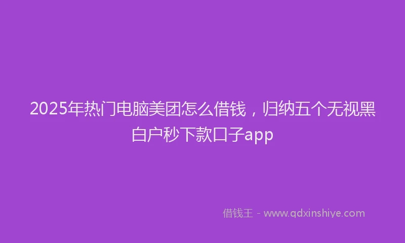 2025年热门电脑美团怎么借钱，归纳五个无视黑白户秒下款口子app