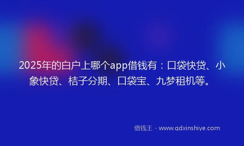 2025年的白户上哪个app借钱有：口袋快贷、小象快贷、桔子分期、口袋宝、九梦租机等。