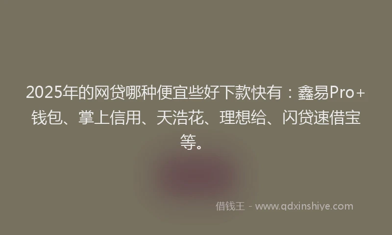 2025年的网贷哪种便宜些好下款快有:鑫易Pro+钱包、掌上信用、天浩花、理想给、闪贷速借宝等。