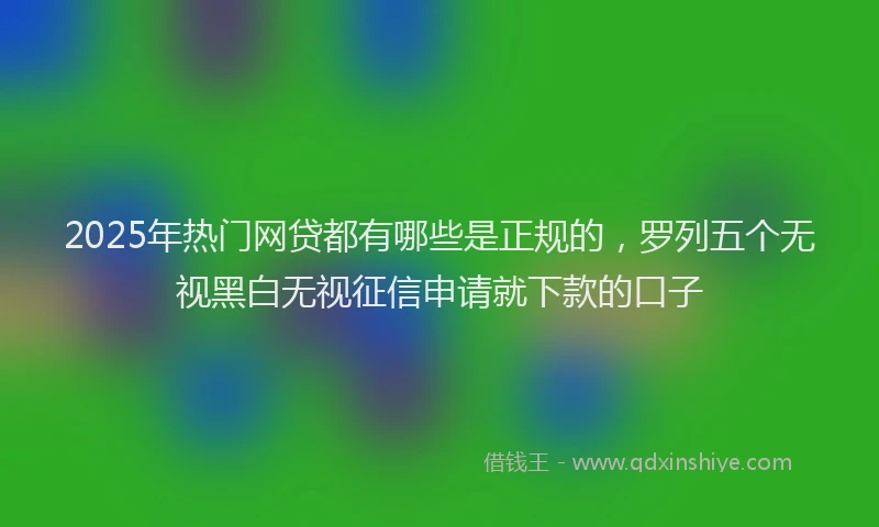 2025年热门网贷都有哪些是正规的，罗列五个无视黑白无视征信申请就下款的口子