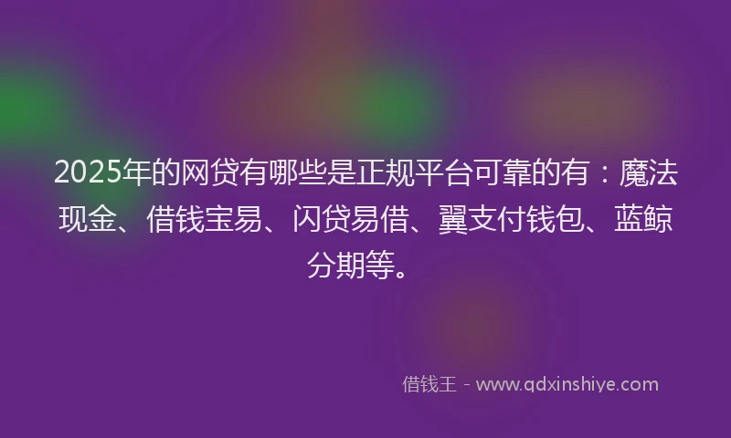 2025年的网贷有哪些是正规平台可靠的有：魔法现金、借钱宝易、闪贷易借、翼支付钱包、蓝鲸分期等。