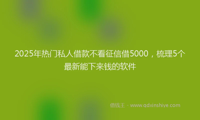 2025年热门私人借款不看征信借5000，梳理5个最新能下来钱的软件