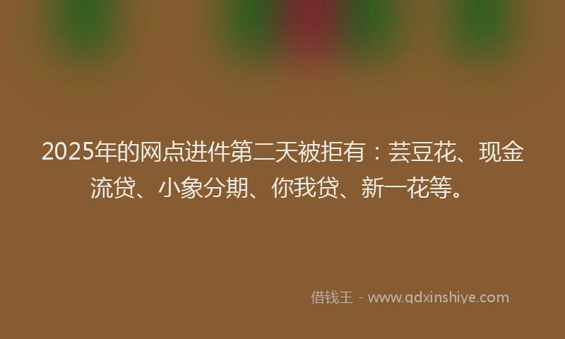 2025年的网点进件第二天被拒有：芸豆花、现金流贷、小象分期、你我贷、新一花等。