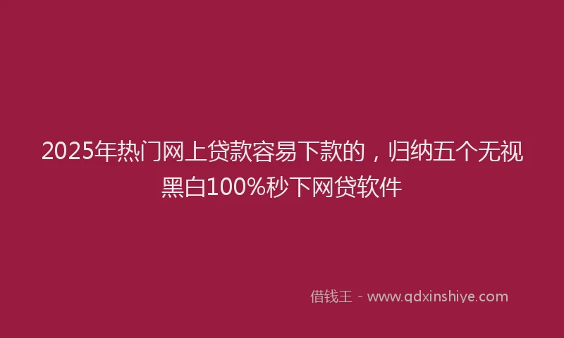 2025年热门网上贷款容易下款的,归纳五个无视黑白100%秒下网贷软件