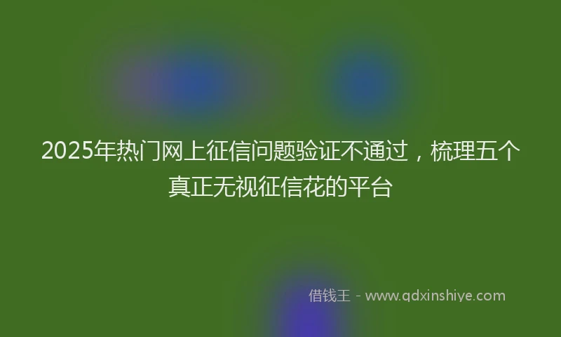 2025年热门网上征信问题验证不通过，梳理五个真正无视征信花的平台