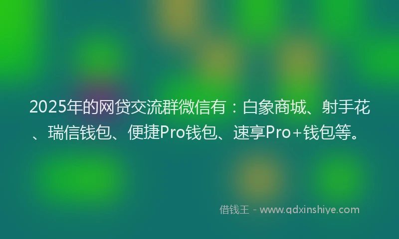 2025年的网贷交流群微信有：白象商城、射手花、瑞信钱包、便捷Pro钱包、速享Pro+钱包等。