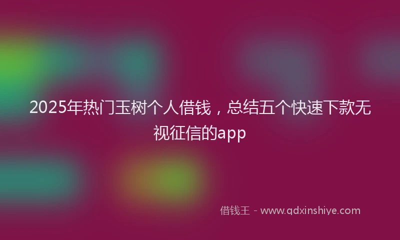 2025年热门玉树个人借钱，总结五个快速下款无视征信的app