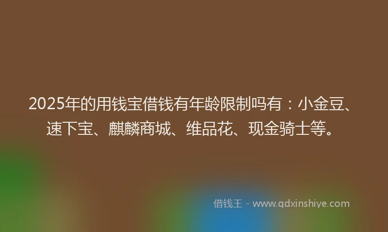 2025年的用钱宝借钱有年龄限制吗有：小金豆、速下宝、麒麟商城、维品花、现金骑士等。