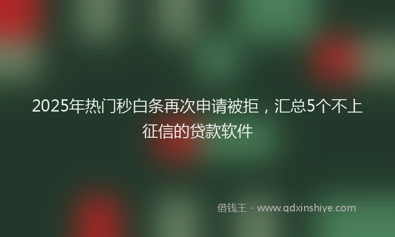 2025年热门秒白条再次申请被拒,汇总5个不上征信的贷款软件