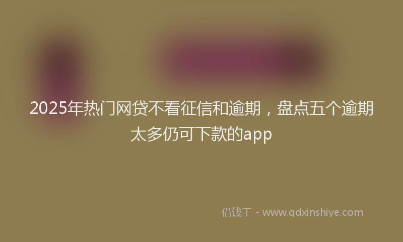 2025年热门网贷不看征信和逾期，盘点五个逾期太多仍可下款的app