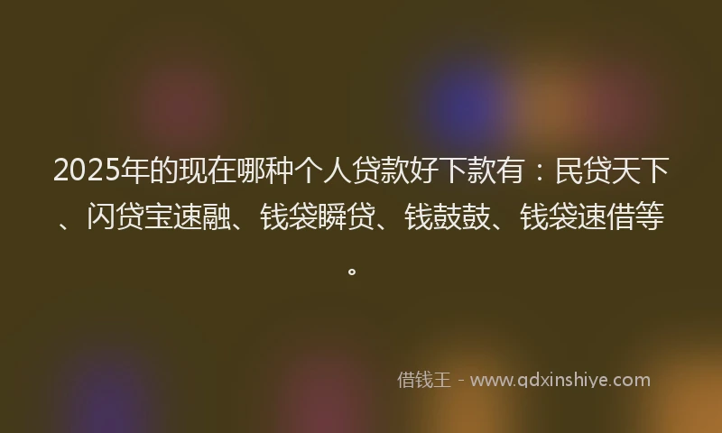 2025年的现在哪种个人贷款好下款有:民贷天下、闪贷宝速融、钱袋瞬贷、钱鼓鼓、钱袋速借等。