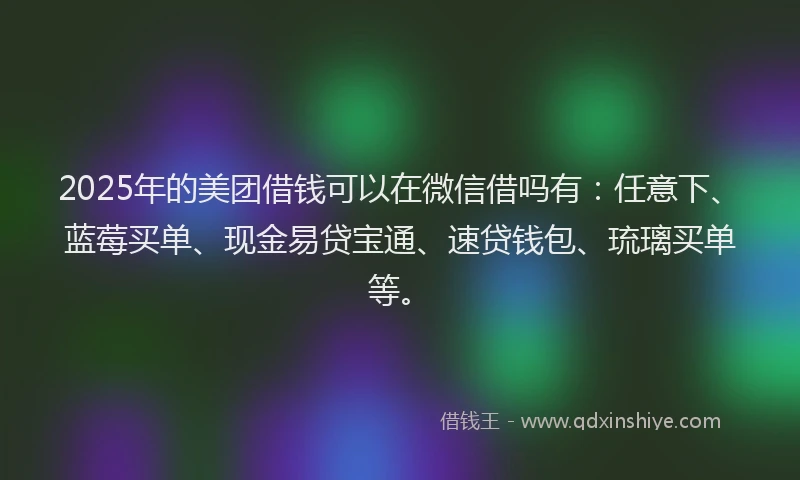 2025年的美团借钱可以在微信借吗有：任意下、蓝莓买单、现金易贷宝通、速贷钱包、琉璃买单等。