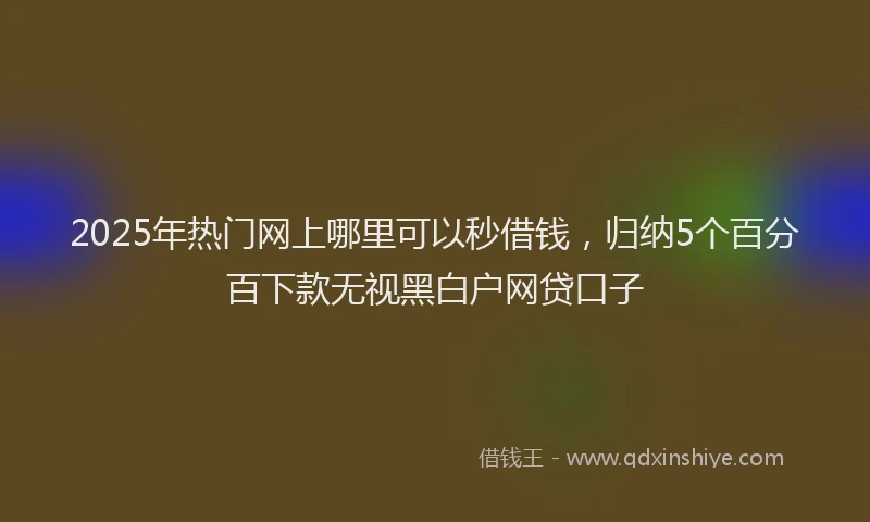 2025年热门网上哪里可以秒借钱，归纳5个百分百下款无视黑白户网贷口子