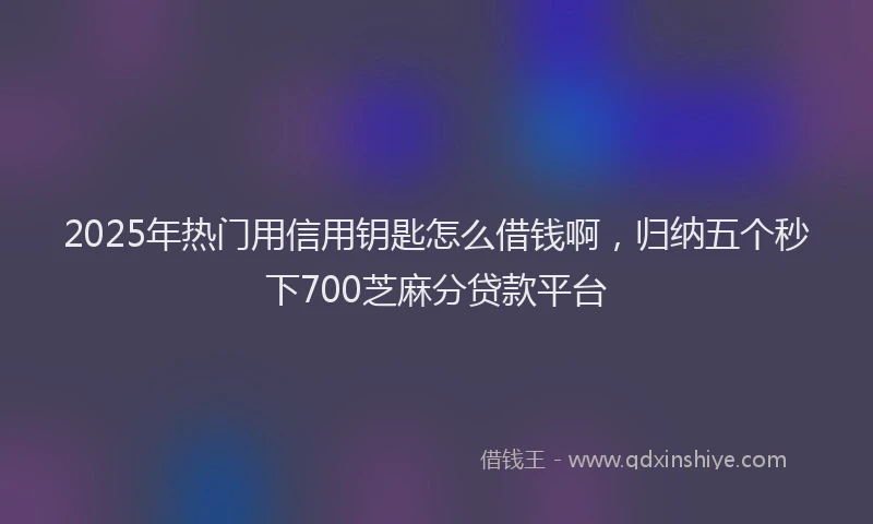 2025年热门用信用钥匙怎么借钱啊，归纳五个秒下700芝麻分贷款平台