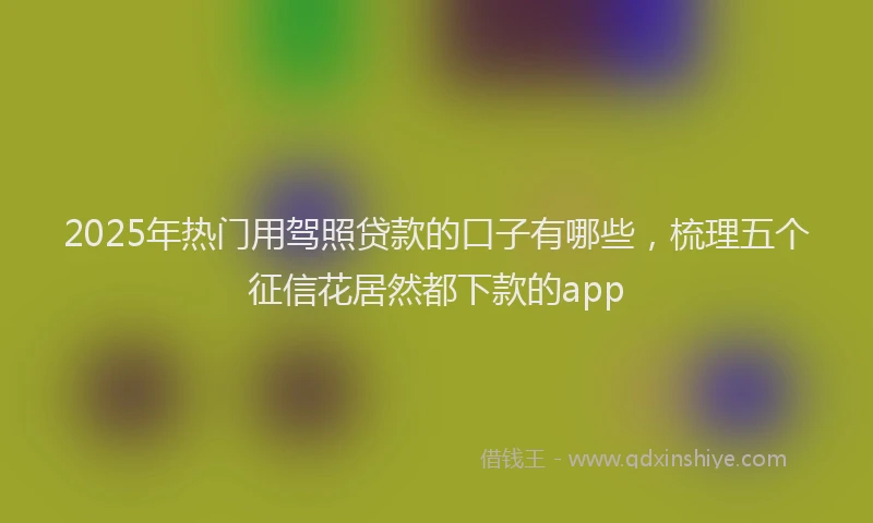 2025年热门用驾照贷款的口子有哪些，梳理五个征信花居然都下款的app
