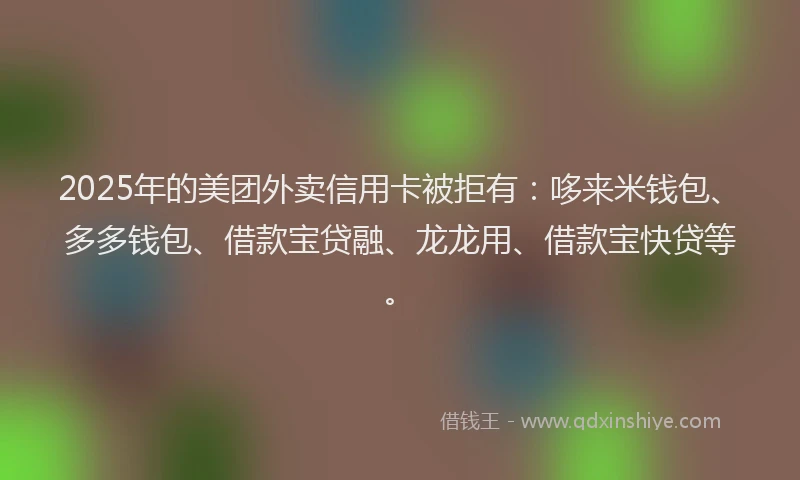 2025年的美团外卖信用卡被拒有：哆来米钱包、多多钱包、借款宝贷融、龙龙用、借款宝快贷等。