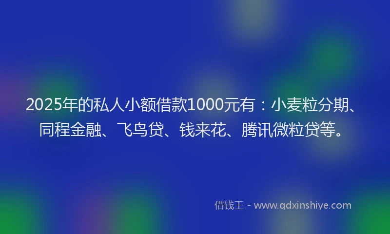 2025年的私人小额借款1000元有：小麦粒分期、同程金融、飞鸟贷、钱来花、腾讯微粒贷等。