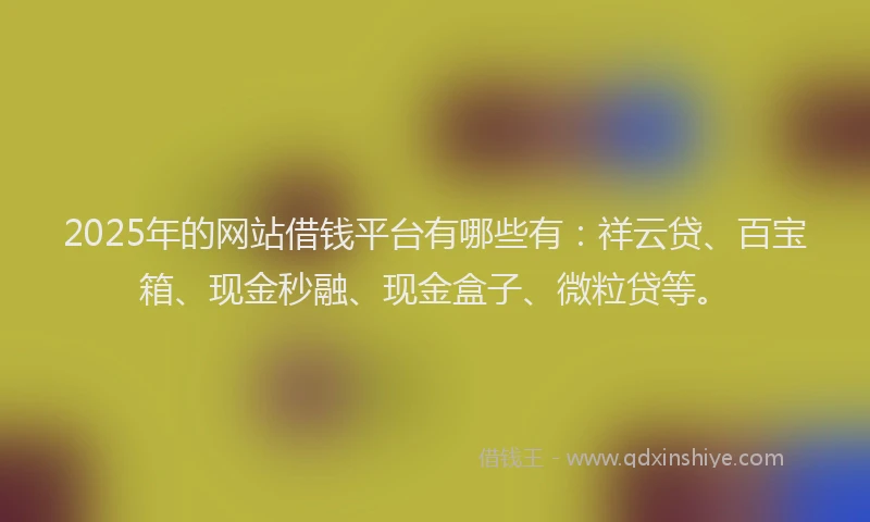 2025年的网站借钱平台有哪些有：祥云贷、百宝箱、现金秒融、现金盒子、微粒贷等。