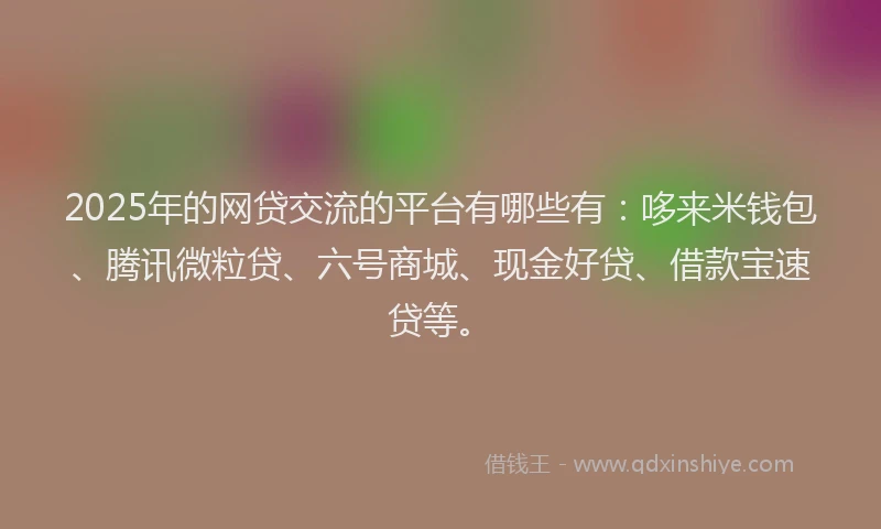 2025年的网贷交流的平台有哪些有：哆来米钱包、腾讯微粒贷、六号商城、现金好贷、借款宝速贷等。